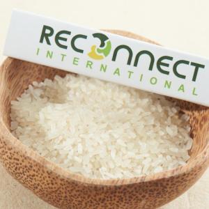 Wholesale long rice 10%: ST25 Broken Rice Vietnam Top Product Large Supply Cooking Food HALAL BRCGS HACCP ISO 22000