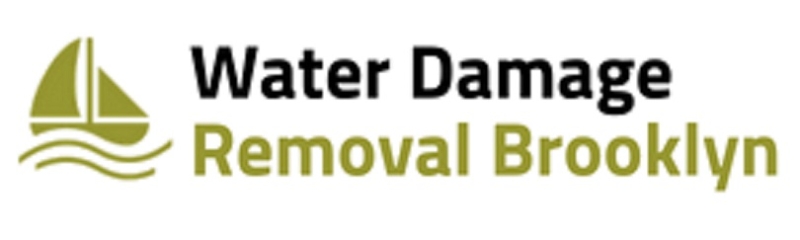 Water Damage Removal Brooklyn Company Logo