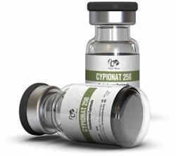 Wholesale hormones: Cypionat