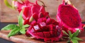 Wholesale Agricultural Product Stock: Dragon Fruit