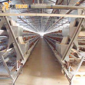Wholesale tiers: Automatic A Type 4 Tiers Layer Chicken Battery Cage