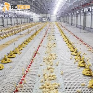 Wholesale silos: Automatic Broiler Floor Raising System Chicken Feeder with Plastic Slat