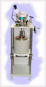 Batch Reactor System