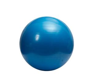 Wholesale 55cm yoga ball: Customized Color Non-slip Anti-burst PVC Exercises Yoga Ball for Pilates