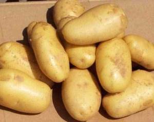 Wholesale packing box: Fresh Potato