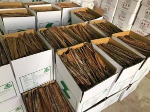 Wholesale cargo ship: Vietnam Cassia/ Cinnamon Split for All Importers Around the World