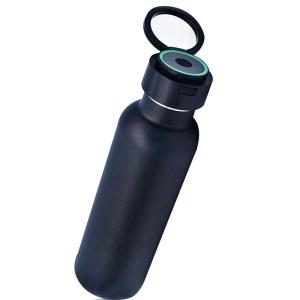 Wholesale water sterilizer: 750ml 18/8 Stainless Steel UV Sterilization Drink Sports Water Bottle with Handle