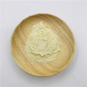 Wholesale panax ginseng: Factory Supply Panax Ginseng Extract Powder