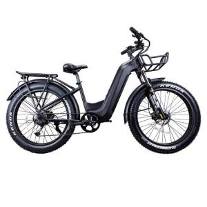 Wholesale Electric Bicycle: Easy Rider Electric Bike 1000w Electric City Bike Motorcycle Electric Bicycle