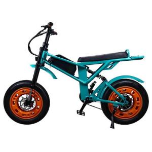 Wholesale lithium electric bicycles: Fat Tire Bike Hydraulic Brake Aluminum Electric Bicycle 48V 750W E Bike with Lithium Battery