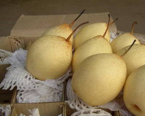 Wholesale Pears: Ya Pear