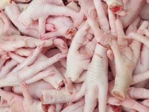 Wholesale slaughter: Halal Certified Grade ''A'' Frozen Chicken Paws/Feet