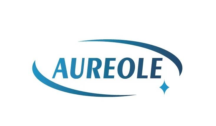 Jiangsu Aureole Ultrahigh Purity Tube Co.,Ltd. Company Logo