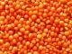 Sell Red Lentils/Grains/Whole and Split Lentils
