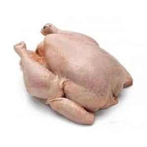 Wholesale chicken: High Quality Frozen  Halal Whole Chicken  From Brazil