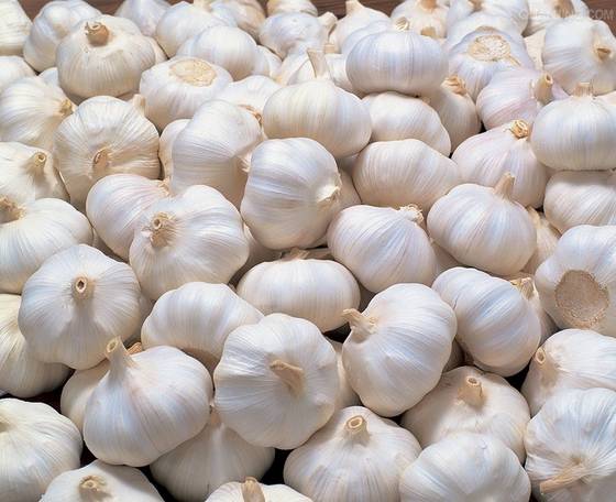 Sell Wholesale Fresh White Garlic, Alho Frozen granule garlic
