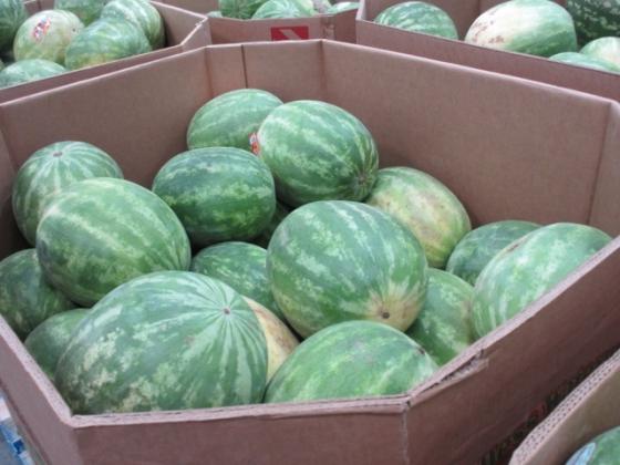 Sell Watermelon, Pumpkin Seeds, Fruits, Vegetables