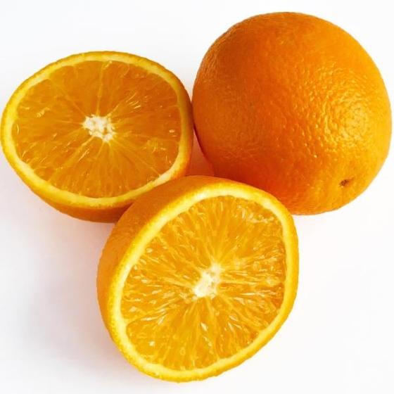 Sell fresh citrus fruit Oranges, Navel, Valencia, Lemon, Lime