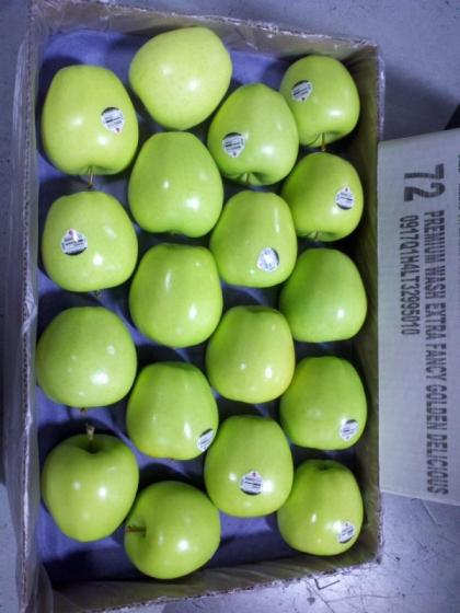 Sell fresh apples, Royal Gala, Golden delicious apples, red,Granny Smith