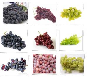 Wholesale red grape: New Crop South African Fresh Grapes, Superior, Flame, Crimson Seedless Grapes, Dehydrated Resin