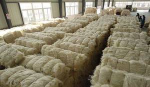 Wholesale 13kg: Manufacturers and Exporters Sisal Natural and Raw Sisal Fiber