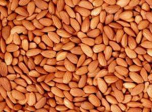 Wholesale nuts for sale: Fresh Sweet Almond Nut for Sale