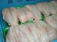 Wholesale feets: Frozen Halal Whole Chicken for Sale