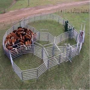 Wholesale square bars: Cattle Fence & Sheep Fence