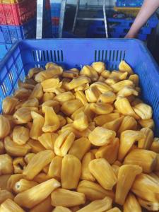 Wholesale gmail.com: Frozen Jackfruit High Quality Best Price Vietnam