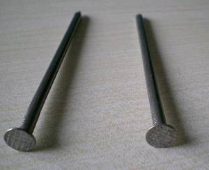 Wholesale common nail: Common Wire Nail