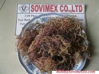Sell Seaweed supplier best price _ Eucheuma cottonii/spinosum