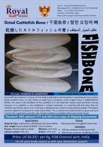 Wholesale fishing: Cuttlefish Bone