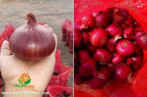 Wholesale onion pieces: Egyptian Red Onions