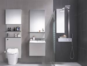 Wholesale bathroom shower: Royal Commbath R4 Standard
