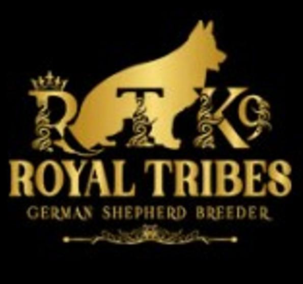 Royal Tribes K9