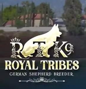 Royal Tribes K9