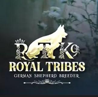 Royal Tribes K9