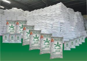 Wholesale export: Vietnamese Tapioca Starch Ready To Export