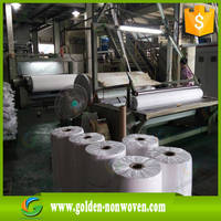 80gsm Large Polypropylene Tnt Fabric Non-woven Roll & Bag...