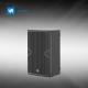 Meeting Room/Bars/Monitor Full Range Loudspeaker Professional Speaker PT10