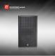 Ruifeng Intelligence Audio 15 Inch PA System Two-Way Full-Range Speaker for Multifunction Occasion