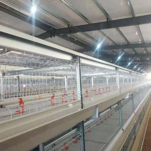 Wholesale automatic chicken layer cage: Broiler Chicken Cage
