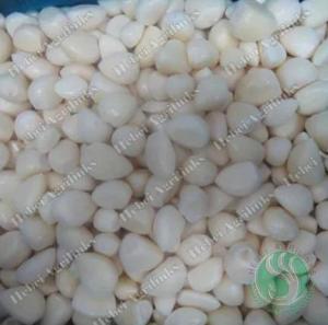 Wholesale garlic cloves: Frozen IQF Garlic Cloves