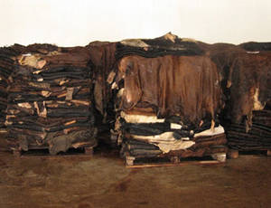 Wholesale abattoir: Dry and Wet Salted Donkey/Horse Hide /Wet Cow Hides .
