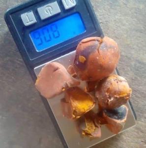 Wholesale cow ox gallstone: Ox,Cow,Cattle, Gallstones