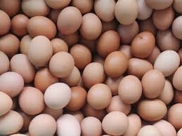 Wholesale Eggs: Table Eggs, Brown and White Eggs,Premium Farm Fresh Chicken Eggs