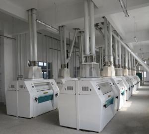 Wholesale l: WFPL300 300 Tpd Modern Wheat Flour Plant