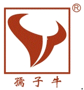 Dongguan Ru Ziniu NewMaterial Technology Co., Ltd Company Logo