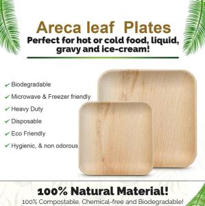 Wholesale disposable: Areca Leaf Plates