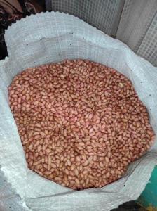 Wholesale jute bags: Bold Type Peanuts: 38/42, 40/50, 50/60, 60/70 Counts/Ounce